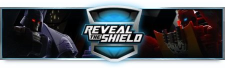 Transformers Reveal The Shield